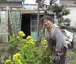 １９９９年３月撮影＞庭の菜の花がきれいです。