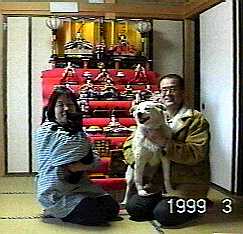 ここには１９９９年３月に撮った、お雛さんの写真があります。犬のモモと猫のナナと私達夫婦です。